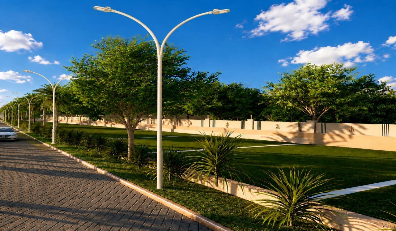 Palm Street Lights